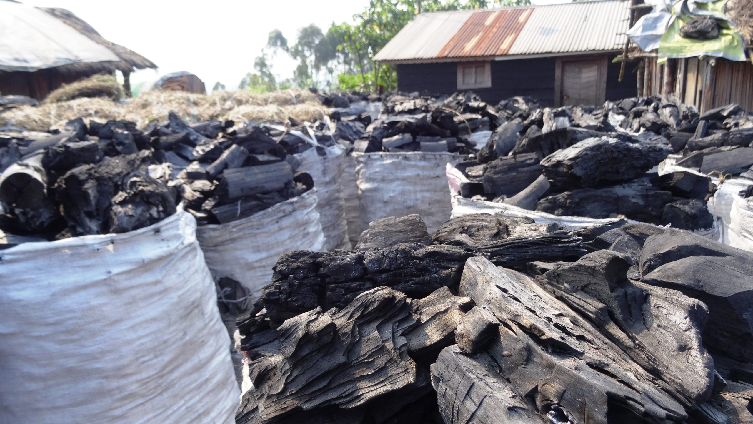 Der Holzkohlemarkt in Karenga – es ist Afrikas Schwarzes Gold.